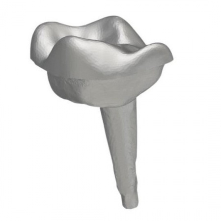Itena Clinical - Numerys GF Disc- Ø98mm/20mm - Img 3