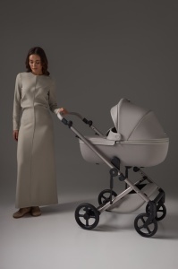 Cărucior multifuncțional Anex ELI - SANTAL - Img 1