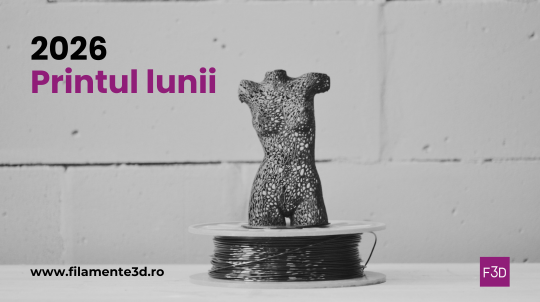 Regulament oficial: Concurs „Printul lunii”