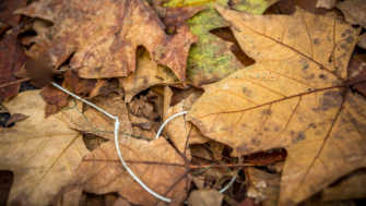 Filamente biodegradabile: mit sau realitate?