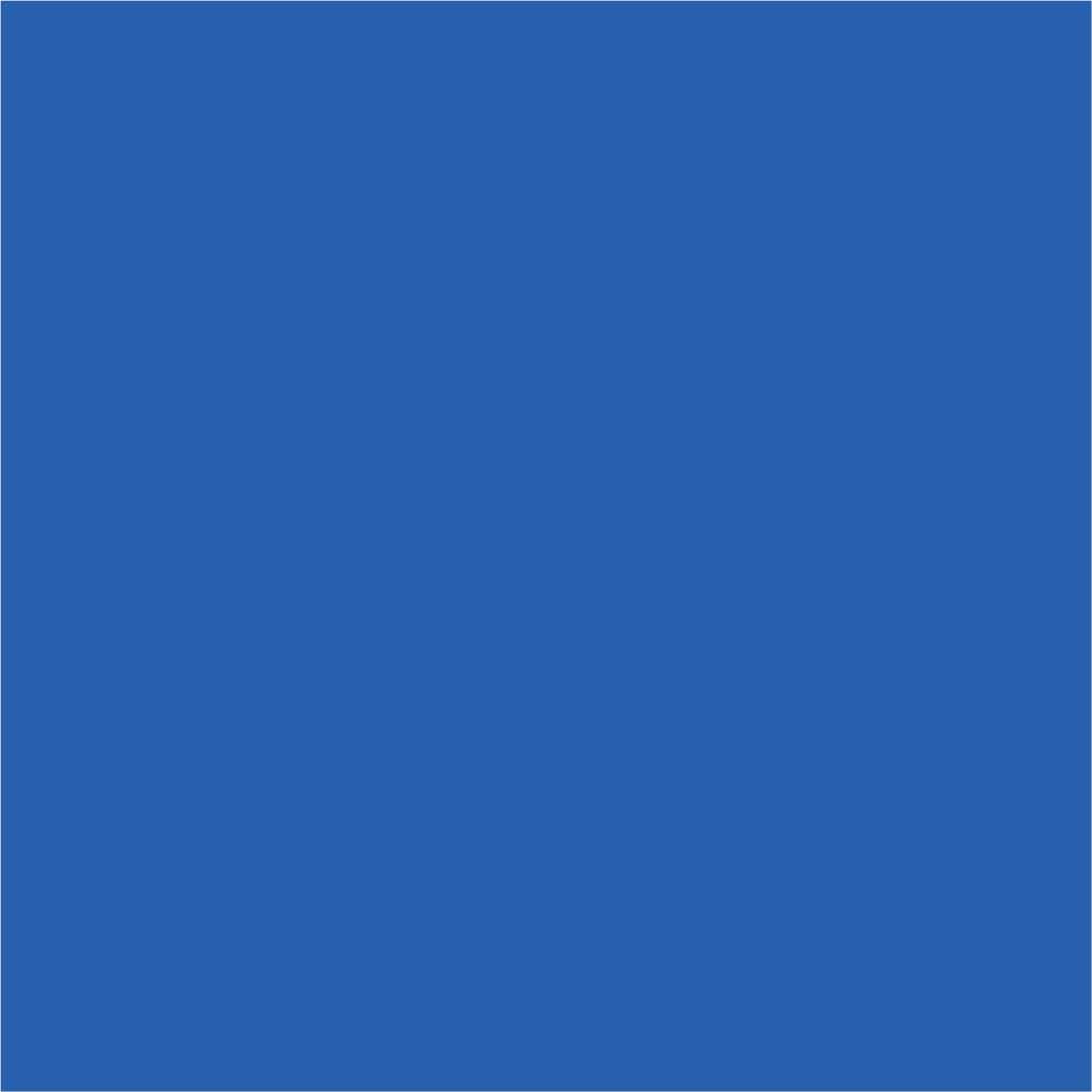 BlueCast RASINI
