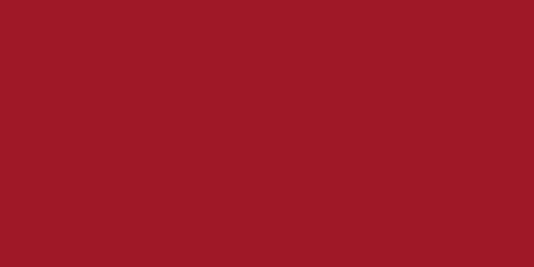 BIOWOOD [ROSA3D]