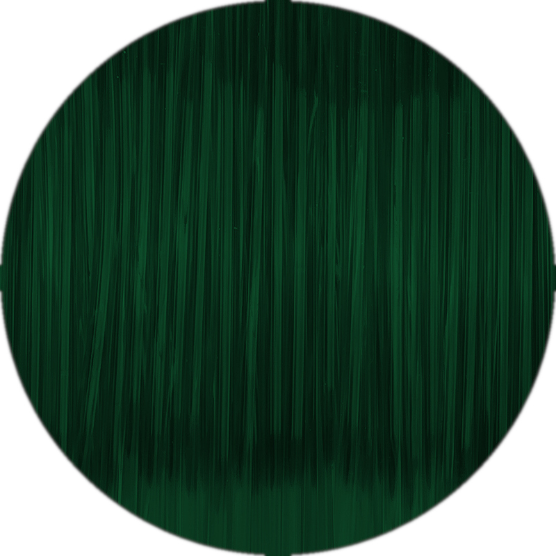 Filament 1.75 mm Fiberlogy Easy PET-G Bottle Green Transparent (verde transparent) 850g