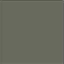 Fiola colorant pentru 500g rasina BASIC - 12,5g - culoare: RAL 7023 Concrete Grey (gri opac)