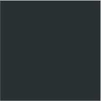 Fiola colorant pentru 500g rasina BASIC - 12,5g - culoare: RAL 7016 Anthracite Grey (gri opac)