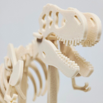 Macro schelet dinozaur printat din filament AzureFilm PLA Original Champagne 1kg - Filamente3D.ro
