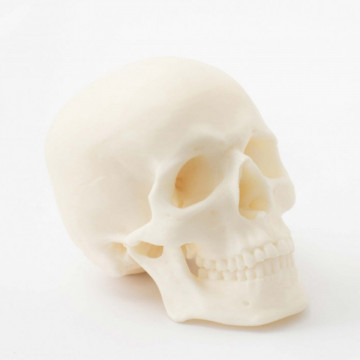 Craniu printat 3D din filament Smart Materials 3D SmartFil Medical (natural) 750g - Filamente3D.ro