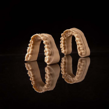 Mulaje dentare printate din rasina AmeraLabs DMD-31 Beige - A2 - Filamente3D.ro