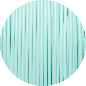 Detaliu filament Fiberlogy Matte PET-G Pastel Mint 850g - Filamente3D.ro