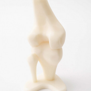Model anatomic os printat 3D din filament Smart Materials 3D SmartFil Medical (natural) 750g - Filamente3D.ro