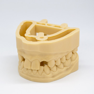 Mulaj dentar - vedere de sus - printat din rasina AmeraLabs DMD-21 Sand - Filamente3D.ro