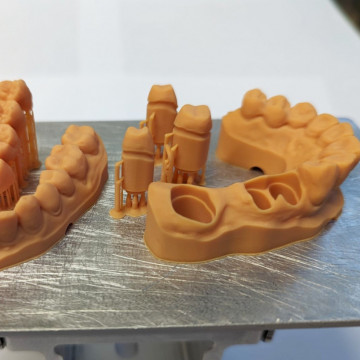 Alte mulaje dentare printate din rasina BlueCast BlueDent Fast Dental Model 500g - Filamente3D.ro