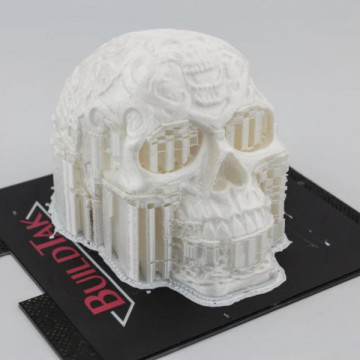 Craniu printat cu structura suport din filament Polymaker PolySupport Breakaway 750g - Filamente3D.ro