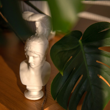 Detaliu bust printat din rasina AmeraLabs TGM-7 White 1 kg - Filamente3D.ro