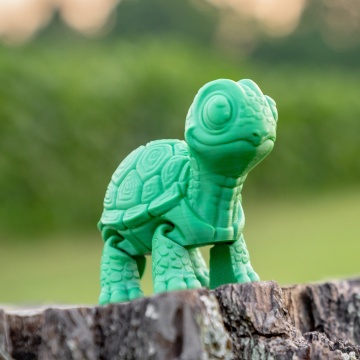 Broascuta testoasa printata din filament 1.75 mm Polymaker Panchroma CoPE Green 1kg - Filamente3D.ro