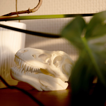 Detaliu craniu printat din rasina AmeraLabs TGM-7 White 1 kg - Filamente3D.ro