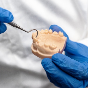Modele dentare printate din rasina FormFutura Dental LCD Series - Model - Gypsum White (alb) 500ml - Filamente3D.ro