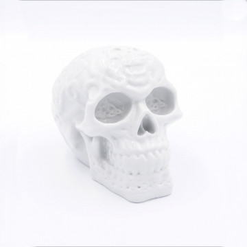 Craniu printat din filament Fiberlogy Fibersmooth Gray 500g - Filamente3D.ro