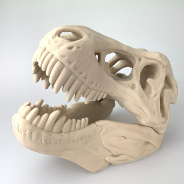 Craniu dinozaur printat din filament Fiberlogy PLA Mineral Natural 850g - Filamente3D.ro