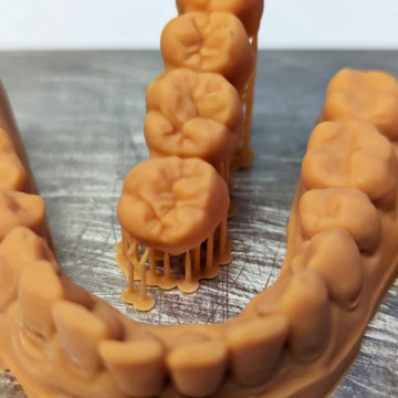 Dinti printati din rasina BlueCast BlueDent Fast Dental Model 500g - Filamente3D.ro