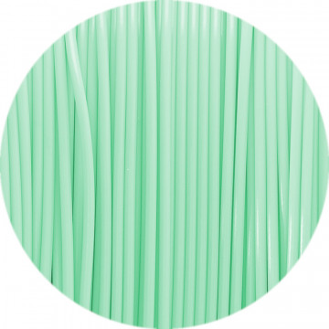 Detaliu filament Fiberlogy Easy PET-G Pastel Mint 850g - Filamente3D.ro