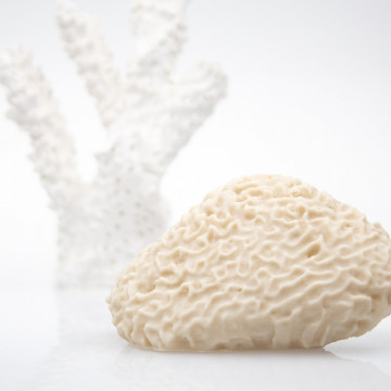 Coral printat din filament ColorFabb allPHA Natural 750g - Filamente3D.ro