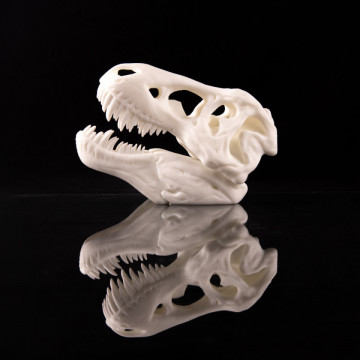 Craniu printat din rasina AmeraLabs TGM-7 White 1 kg - Filamente3D.ro