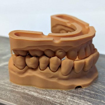 Mulaj dinti printat din rasina BlueCast BlueDent Fast Dental Model 500g - Filamente3D.ro