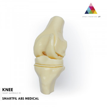 Model anatomic printat 3D din filament Smart Materials 3D SmartFil Medical (natural) 750g - Filamente3D.ro