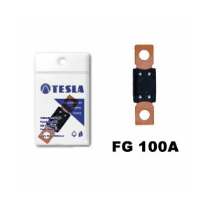 Осигурувачи FG (MEGA) - TESLA 100A (10 парчиња)
