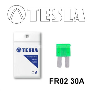 Осигурувачи FR2 - TESLA 30A (10 парчиња)