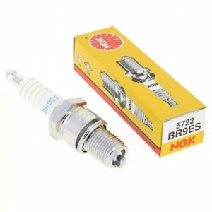 СВЕЌИЦА NGK BR9ES 5722