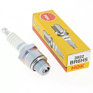 СВЕЌИЦА NGK BR6HS 3922