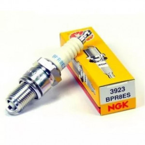 СВЕЌИЦА NGK BR8ECS 3972