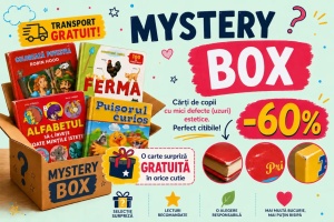 Mystery Box 3