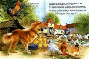 Ţepişor şi Rostogol - Img 2