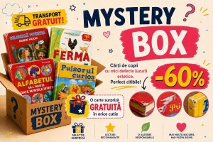 Mystery Box 1