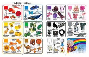 A treia carte ilustrată - The third picture book - Img 2