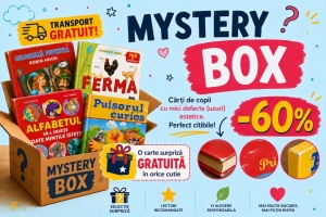 Mystery Box 2