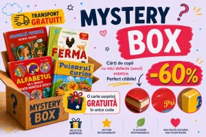 Mystery Box 1