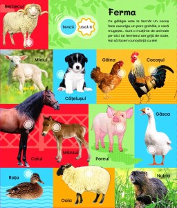 SUB TIPAR - 175 sunete de animale. Ediția a 2-a - Img 2