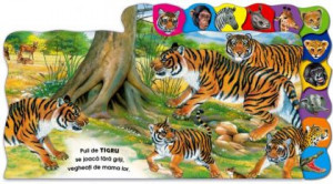 Animale salbatice (Animalele lumii). Bestseller. Editia a 3-a - Img 3