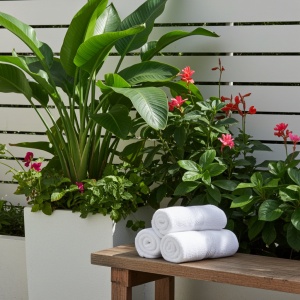 Set 20 prosoape bucatarie, bumbac Siena bucatarie albe 25x45cm - Img 2