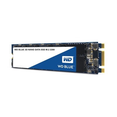 WDS100T2B0B Western Digital (WD)