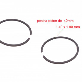 Segment motor 2HP 2 timpi motopompa de apa 1" 44mm sau 40mm NR.705 - Img 2