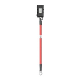 EcoFlow Alternator Charger - Img 10