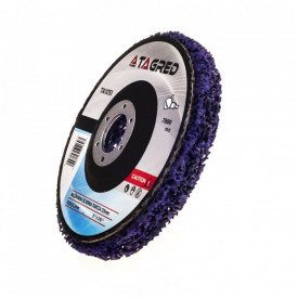 Disc abraziv piatra sponce 125mm TA1051 TAGRED - Img 2