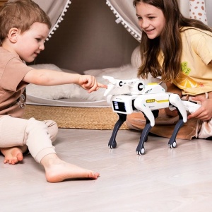 Intelligente robothond met grijptangen iUni 8008, afstandsbediening, spraakopdrachten, programmeerbaar - Img 8