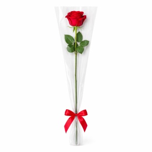 Ceolofan Pentru O Floare 100/set KRM5418 - Img 2