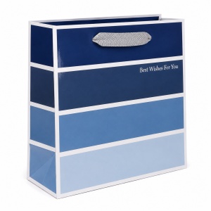 Pungă Cadou Lucioasă 14x7x15 cm, cu Mâner Textil și Design Elegant, pentru Bijuterii și Cadouri Mici, Set 12 Bucăți, KRM5343 - Img 3